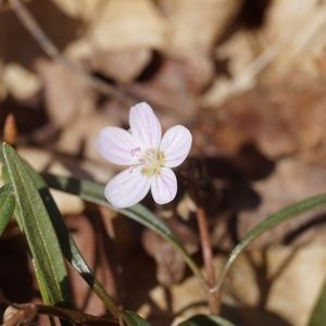 Meet your Posher, Eleonora